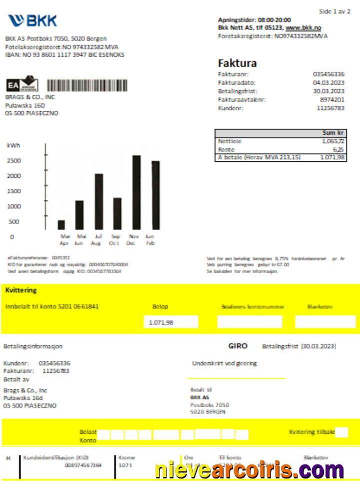 BKK electricity utility business bill